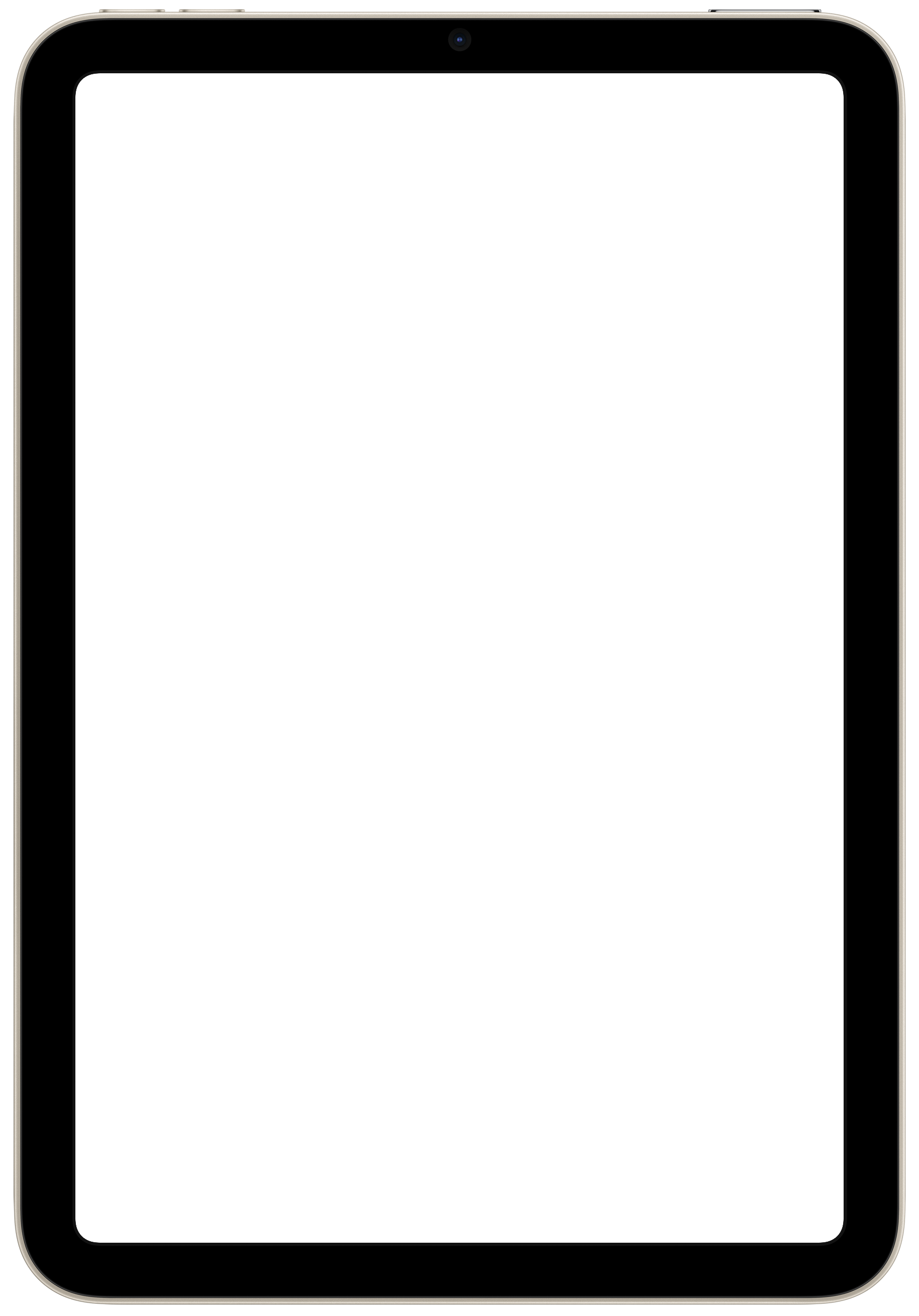 mockup ipad mini